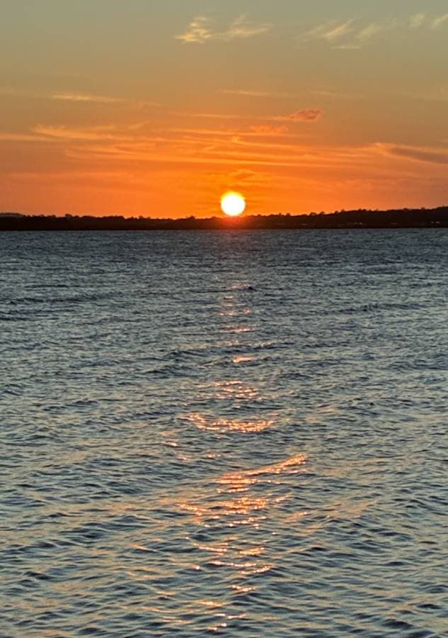 Photo 3 by Ricardo G. (10/24/25)