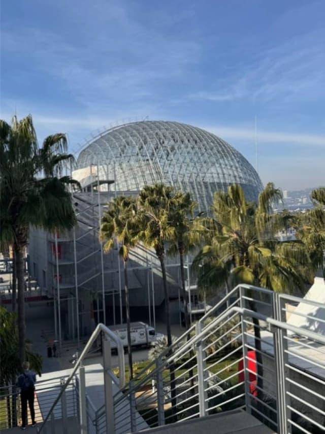 Photo 5 by Fay H. (1/27/24)