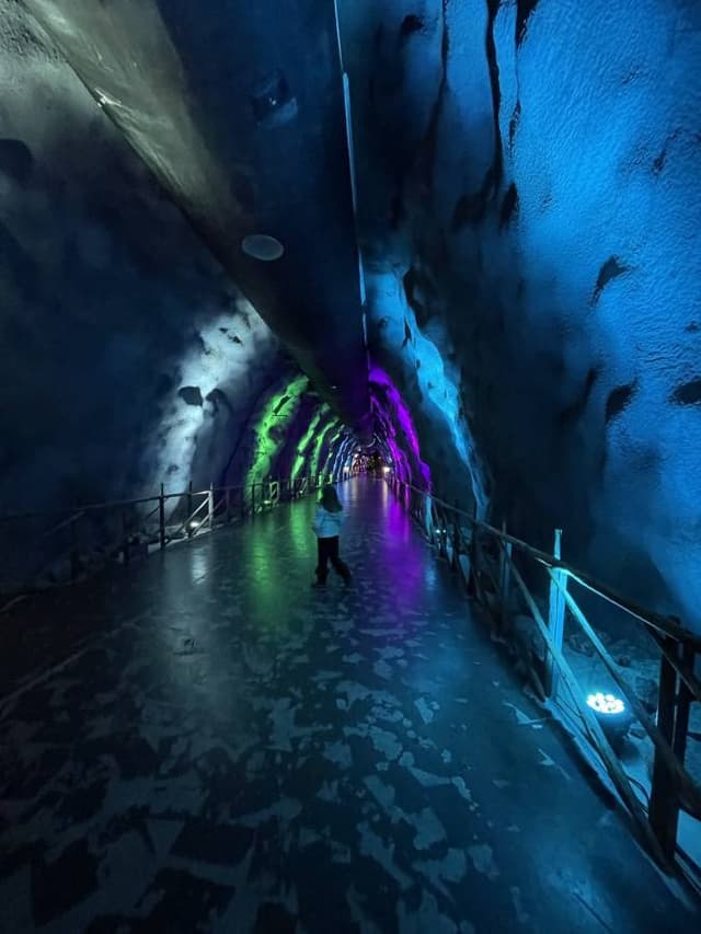 Foto 3 di CORNEL P. (06/12/25)