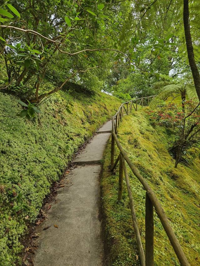 Fotografia 4 realizată de ALEXANDRU L. (23.06.24)