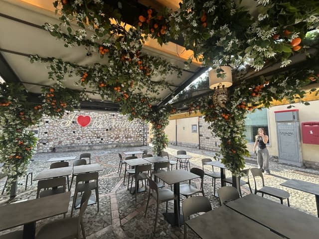 Foto 6 de SYLVIA LILIAN F. (21/11/25)