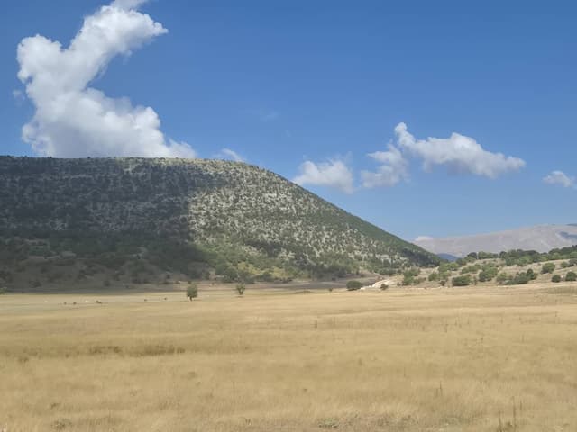 Photo 2 by Antigoni K. (10/19/25)