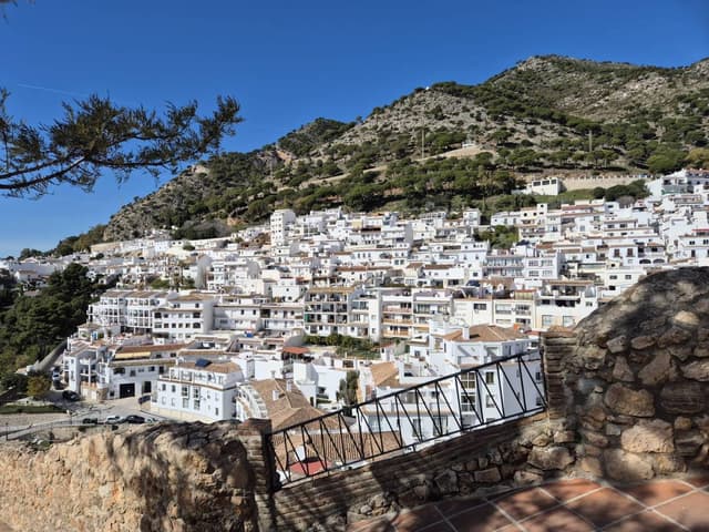 Foto 9 von Rudolf R. (5.3.25)