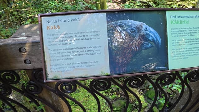 Photo 6 by Alain B. about hiring a Mazda Demio at Christchurch Airport (20/11/25)