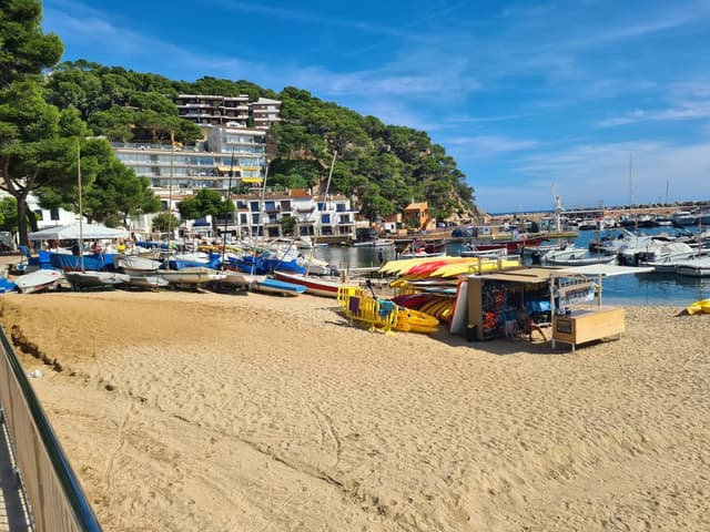 Foto 3 von Guenter W. (22.9.25)