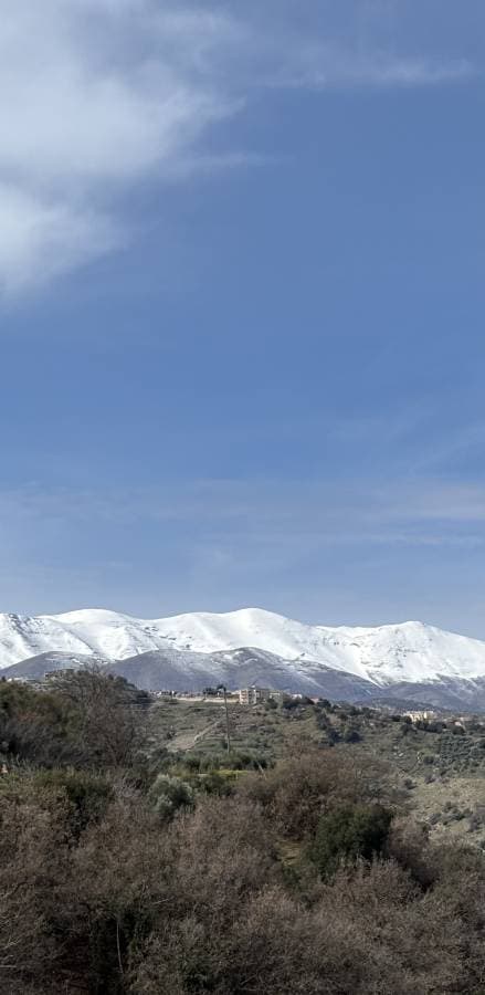 Photo by Riccardo C. (3/17/26)