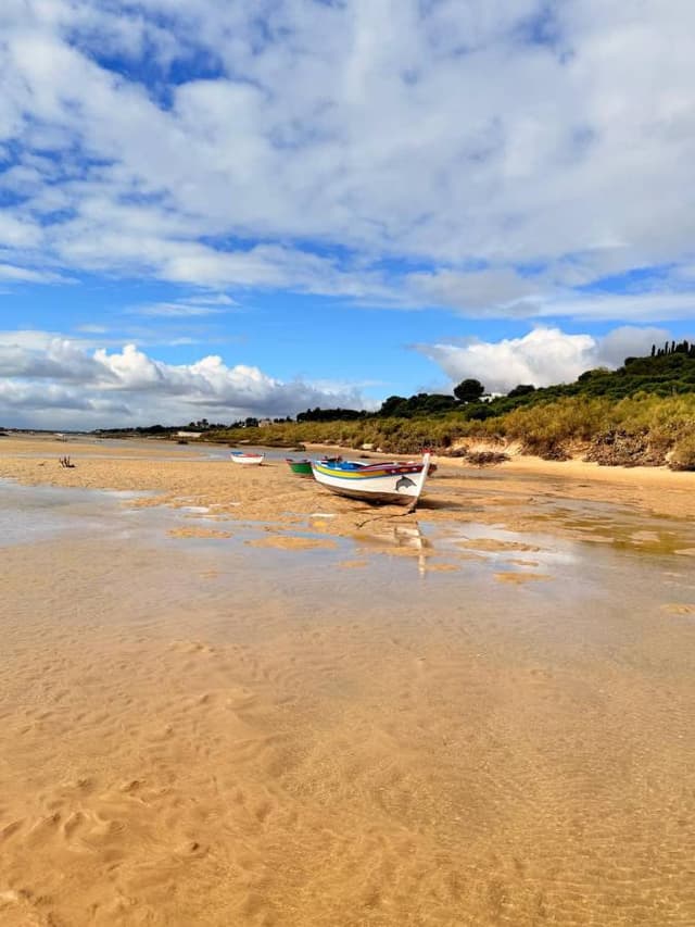 Foto 5 van petrus M. (25-10-25)