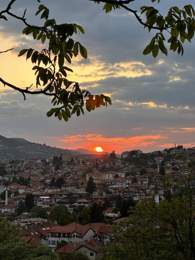 Photo by Ines G. (5/24/23)