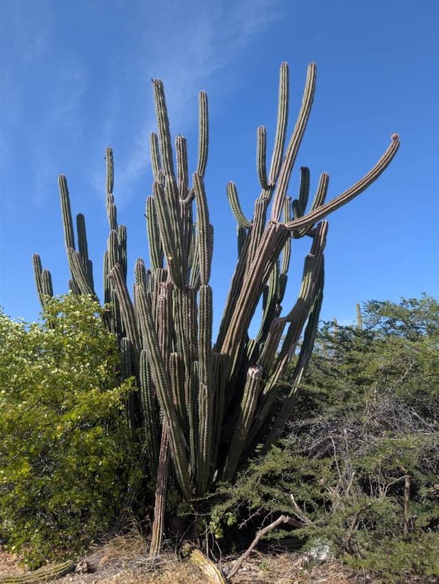 Photo 5 by Michele G. (1/24/26)