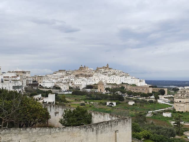 Zdjęcie 4 wykonane przez Sandra W. (22.03.26)