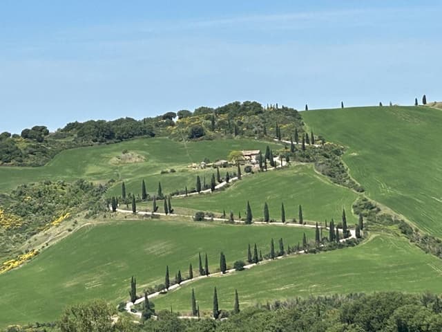 Photo 3 by Noel L. about hiring a Volkswagen T-Cross at Florence Airport (02/06/25)