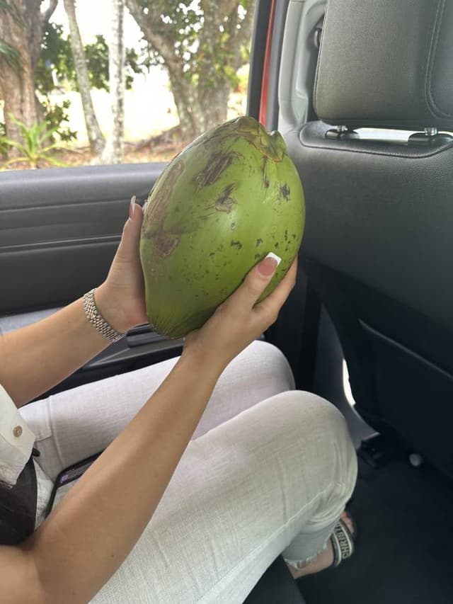 Photo 6 by Lilian M. about renting a Ford Everest in Cairns (11/5/23)