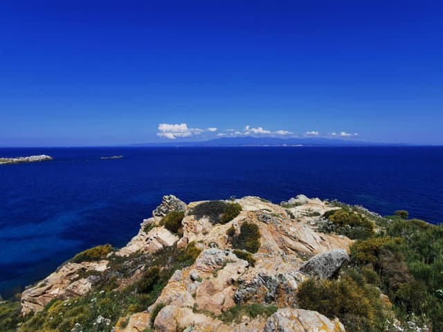 Photo 7 by Lisstette Nataly P. about renting a Fiat Panda in Alghero (5/2/25)
