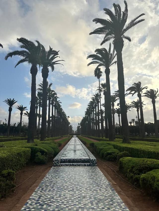 Baris S. tarafından 6 fotoğraf (04.11.24)