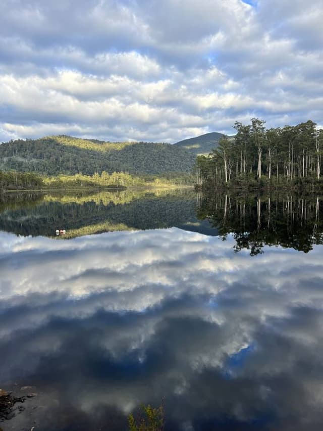 Photo 4 by Robert J. (3/24/26)