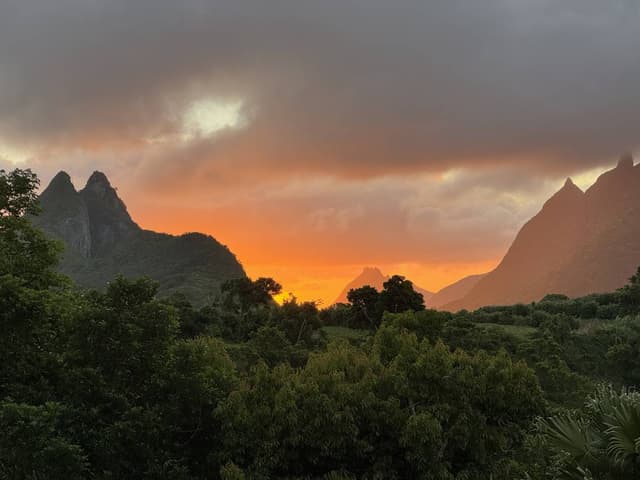 Photo 5 by Michael F. about renting a Suzuki Vitara at Mauritius Airport (1/16/25)