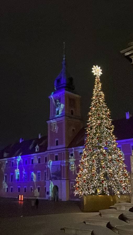 Photo 2 by Luiza R. (1/12/23)