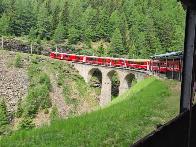 Fotografia 4 realizată de Alexandru Nicolae Tudor P. (21.06.26)