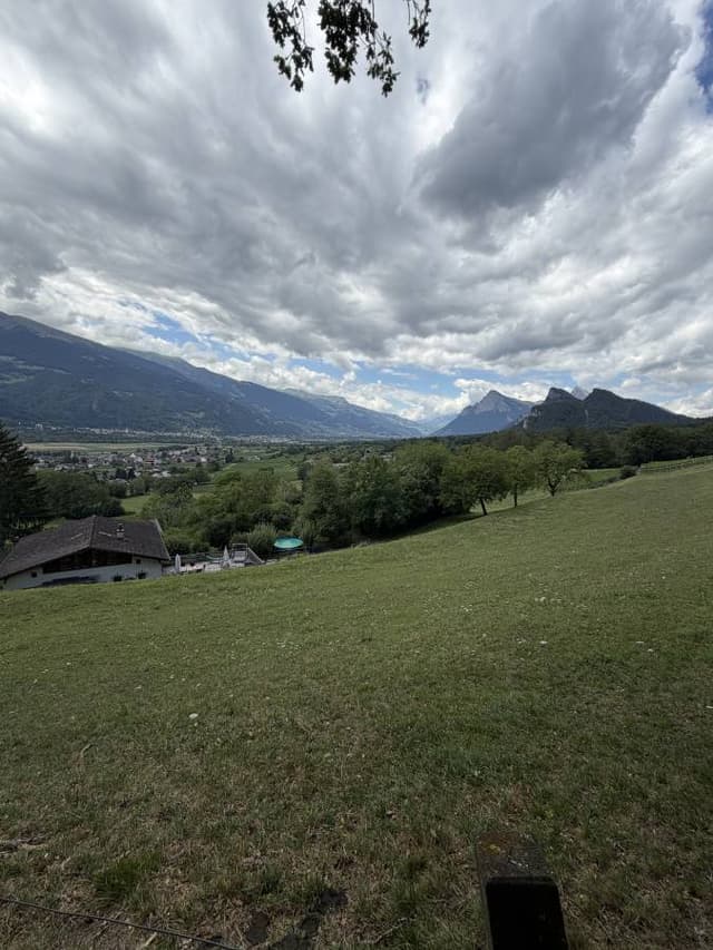 Photo 22 by Marin P. (7/31/26)