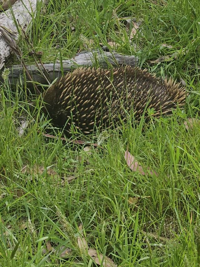 Photo 6 by Toni H. (11/21/25)