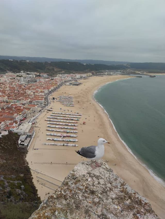 Photo par Rachid B. sur la location d'un(e) Opel Corsa Hatchback à l’aéroport de Porto (03/09/25)