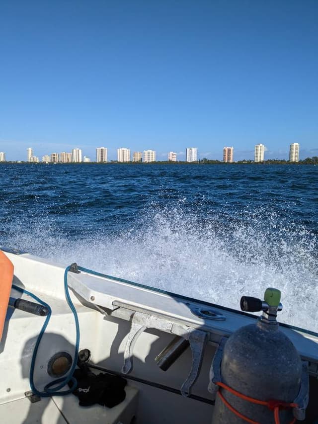 Photo 2 par Ferdinand M. sur la location d'un Ford Focus à l’aéroport de Fort Lauderdale (04/01/23)
