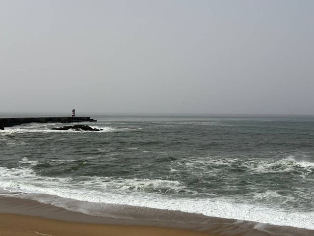 Photo 2 by Rania T. (4/11/26)