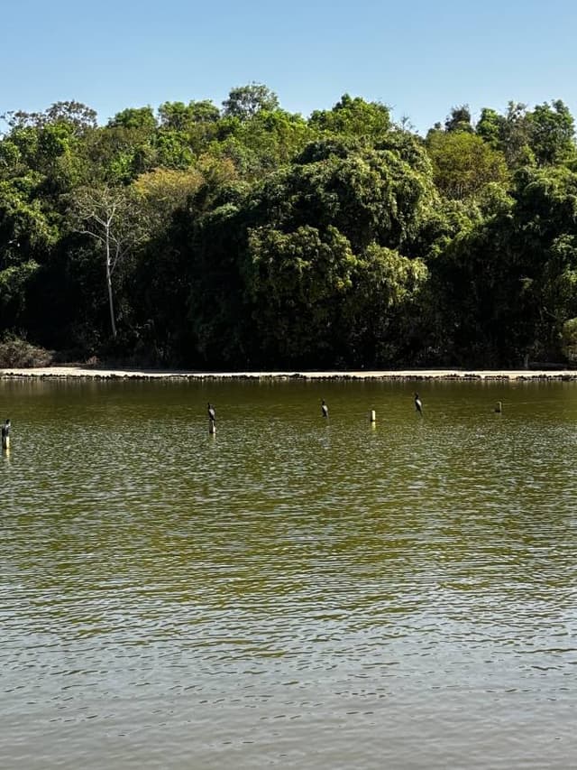 Foto 2 von Marcio Rodrigo R. über die Anmietung eines Renault Duster in Brasilien (3.9.24)