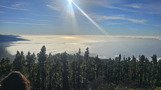 Foto 4 von Khorara P. (29.5.26)