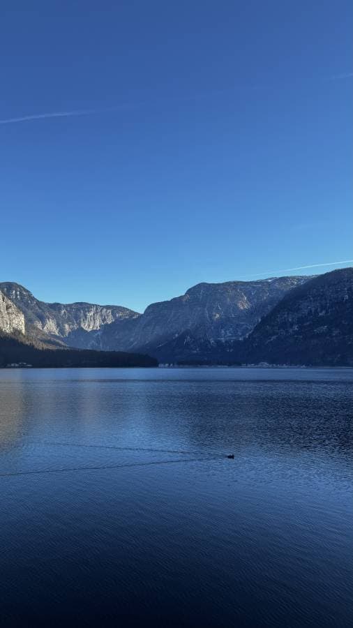 Photo 5 by EMAN S. (1/5/26)