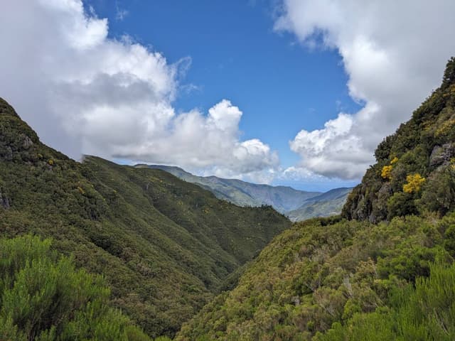 Photo 2 by Srdjan J. about renting a Skoda Fabia in Madeira (6/9/24)