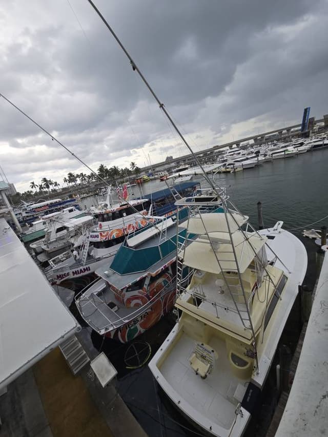 Photo by Adelino F. (10/28/24)