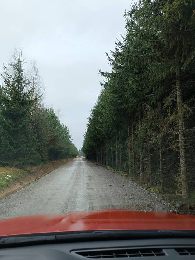 Фото 7 от Ihor K. об аренде Toyota C-HR в Варшаве (25.11.23)