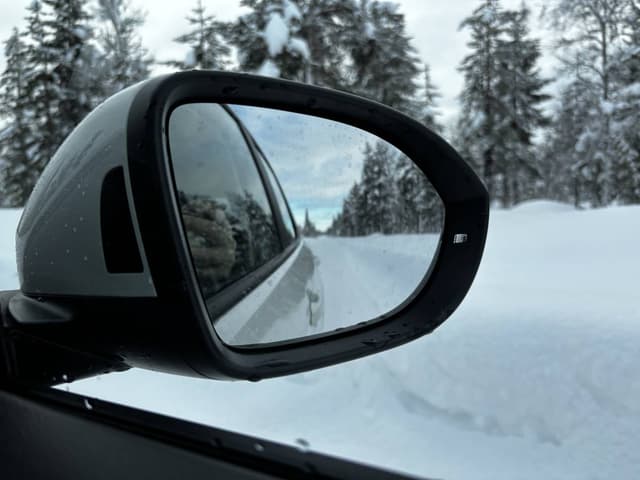 Photo 3 by Igor B. (3/11/26)