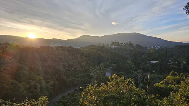 Photo by Syed M. (3/17/24)