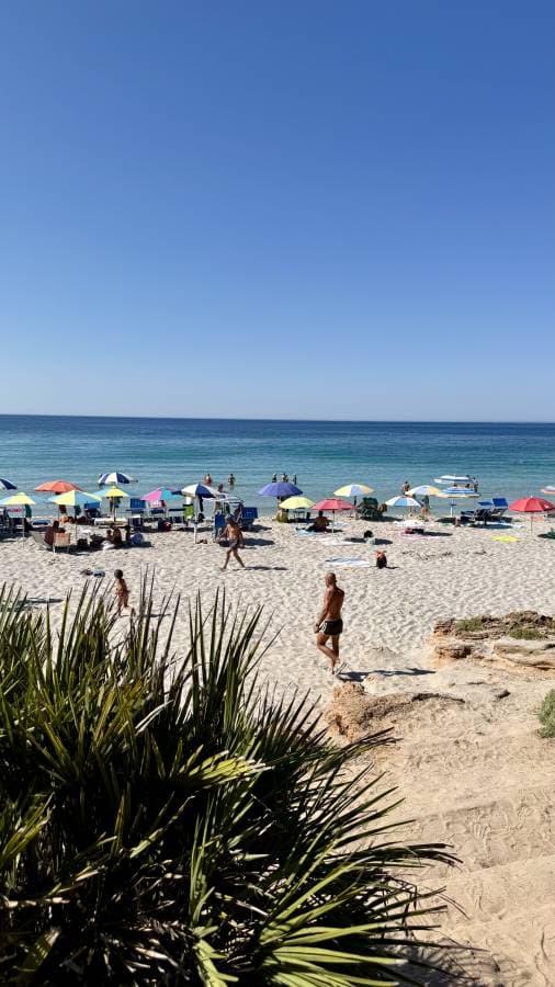 Photo 4 by Liviu A. about renting a Ford Fiesta on Sardinia (7/6/25)