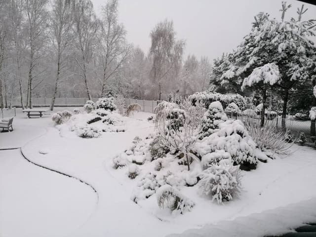 Photo 7 by Pawel W. about renting a Toyota Yaris in Poland (12/30/23)
