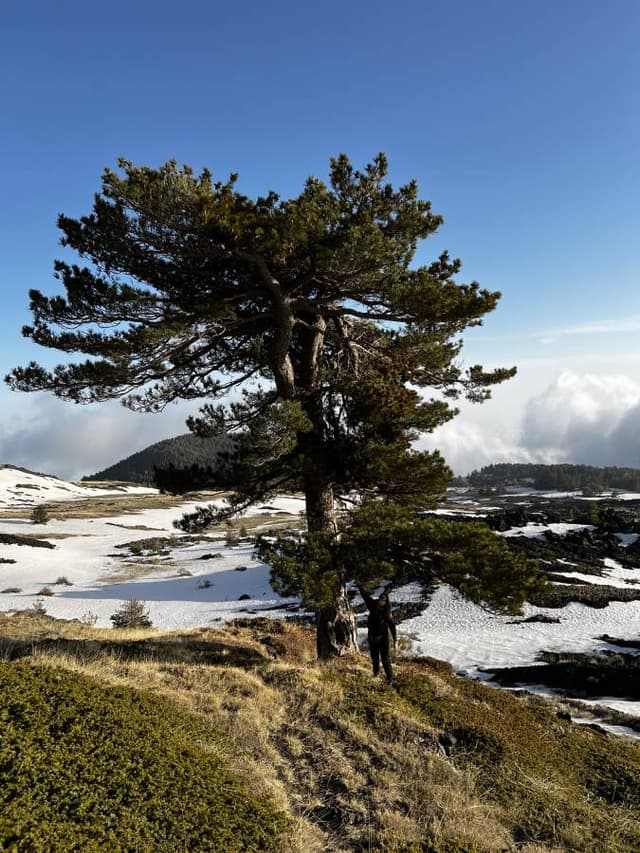 Zdjęcie 4 wykonane przez Grzegorz T. (13.03.26)
