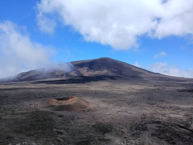 Foto 3 van Dionne V. (29-1-26)