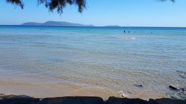 Foto 4 di Dino V. (05/07/22)