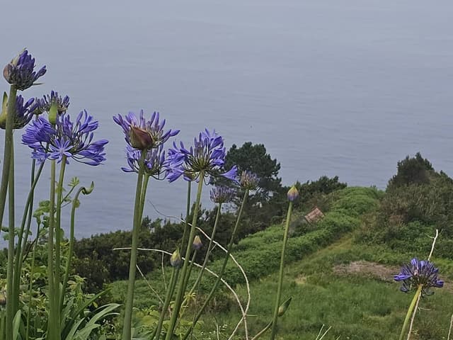Photo 12 par Alain C. (31/05/26)