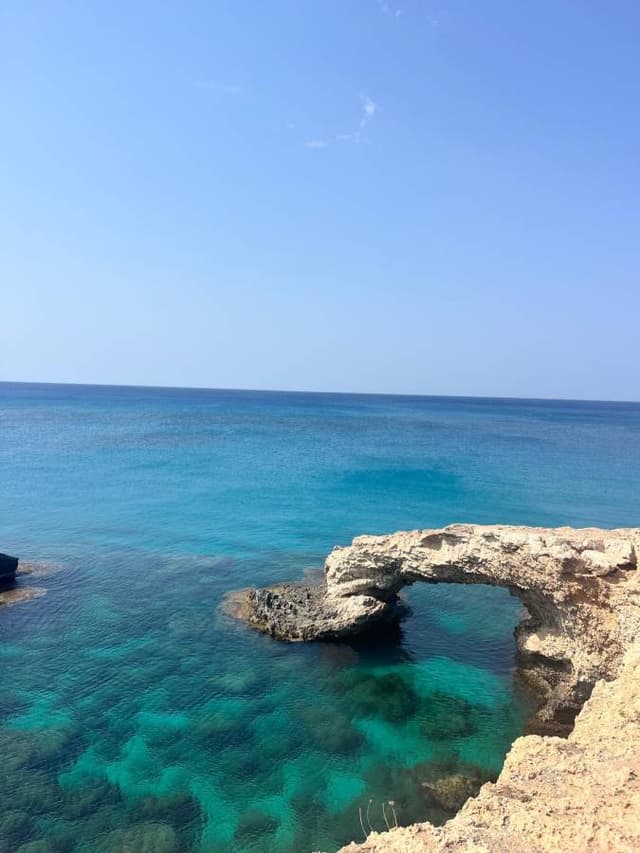 Photo 1 by yuval S. (8/15/25)