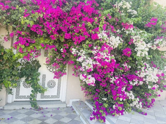 Photo 2 par Sana T. sur la location d'un Nissan Micra à l’aéroport de Tunis-Carthage (06/09/25)