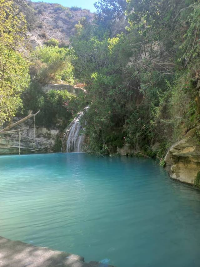 Fotografia 3 realizată de RADU CATALIN M. (11.07.22)