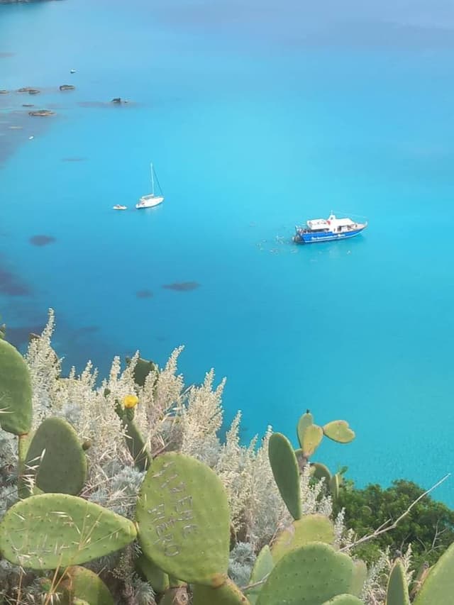Foto 4 di Achille V. (27/05/26)