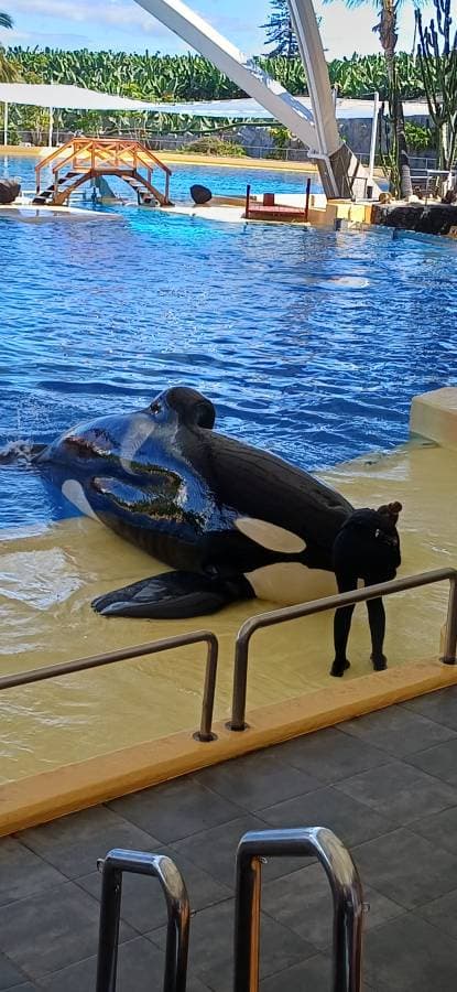 Foto 7 von Tiku Hanne Maria A. (26.10.25)