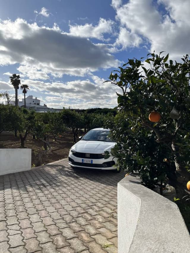 Daniel F. fényképe (26. 01. 04.)