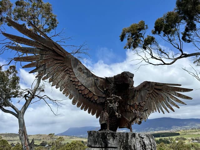 Photo by Andrew R. (10/20/25)