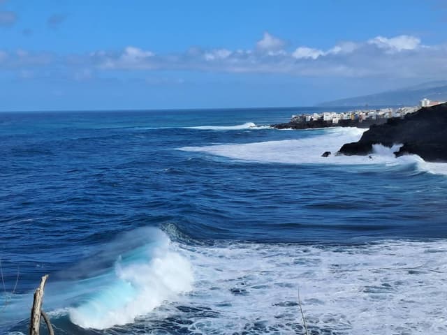 Foto 12 di PAOLO T. (14/02/26)