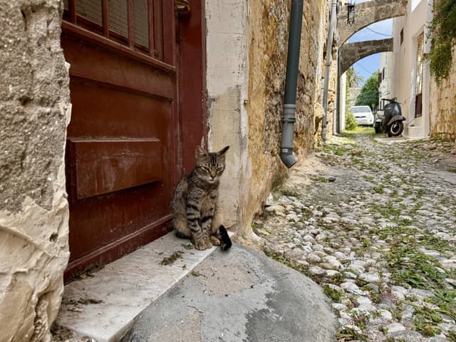 Photo 5 by Ian F. about hiring a Volkswagen Polo in Rhodes (22.04.24)